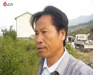 仿石仿木大门花岗石 枯木-为园林公司培训景观美工