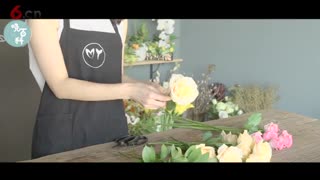 好一群水里的玫瑰花!-【日常百科系列】