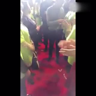 又是别人家的老板