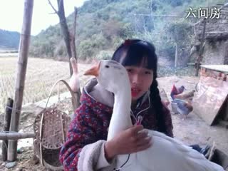 六间房呆萌女主播东方不败哪互动直播中