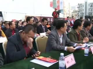 2013第九届中国·廉江红橙节开幕式报道记录片视频