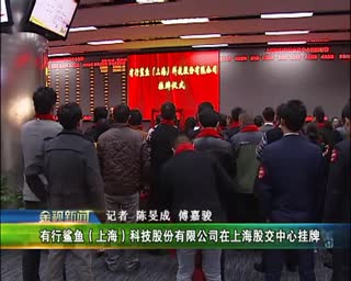 延续鲨鱼拼板胶高质低价行业优势，一代天“胶”鲨鱼造