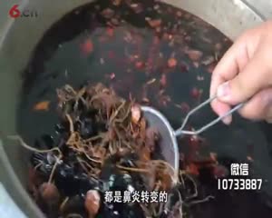 小孩鼻子不通气怎么办？属于鼻炎的初期反应吗
