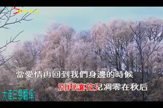 当爱情离开的时候 王麟 最新网络流行歌曲 伤感歌曲MV（清晰）_960x640_200M_h264