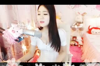 波斯猫踮着他的脚尖~《波斯猫》守着他的爱恋~