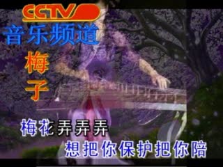 梅花弄弄弄