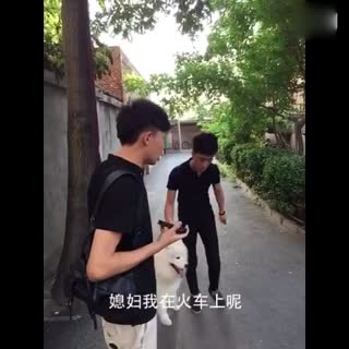 别谢我 我叫红领巾