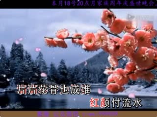 梅花泪---紫薇--演唱