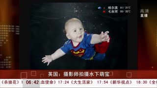 英国：摄影师拍摄水下萌宝
