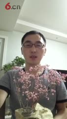 猴子的家人们，七夕节快乐