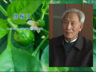 我和天达的故事古稀之年电话忙老当益壮徐振江.flv