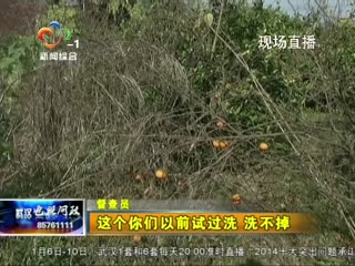 实拍武汉电视问政区长现场吃被污染橘子