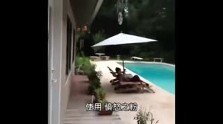 蛇精病中的极品，他居然活了这么久还没被打死