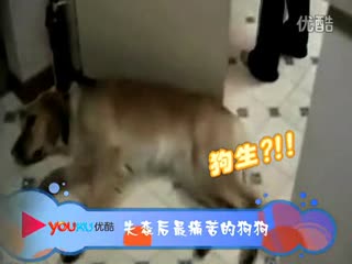 壹品网超网上商城一直坚持“顾客就是上帝”的宗旨