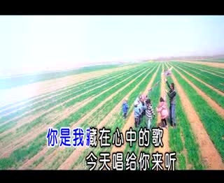 又见山里红粤语.mpg
