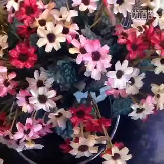 花花世界 标清.flv
