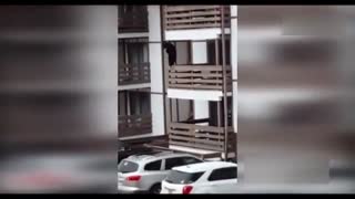 实拍大黑熊飞檐走壁似猿猴 轻松爬三层楼不叫事