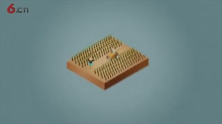 克鲁索宝藏1
