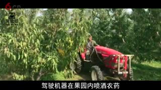 超大容量果园打药机，现场测试喷雾效果。