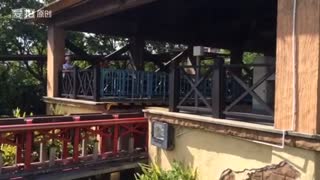 过山车的游客大惊