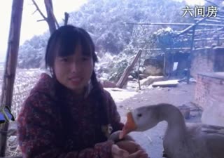 六间房美女主播东方不败哪秀场直播