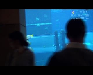 全程记录迪拜水上乐园