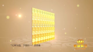 德城巧克力金条