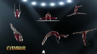 中国国家体操队赞助商百特陶瓷