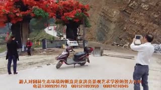 水泥仿树门--袁洪亮景观艺术培训学校