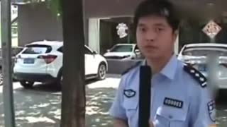 监拍女司机倒车时伸头看位置 头部撞树生命垂危