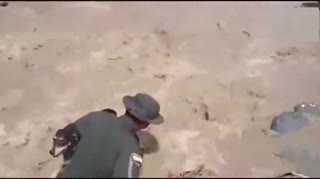 警察跳入洪水拯救狗狗全过程