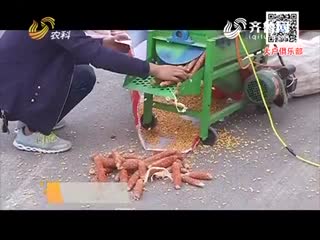 天达助力惠民粮王