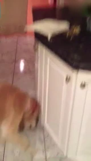 有个好队友的重要性