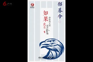 美妃黛儿——招募令