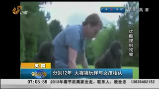 分别12年  大猩猩玩伴与女孩相认