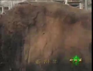 养牛系列教程2 肉牛高效养殖技术-中国黄牛品种_标清.flv