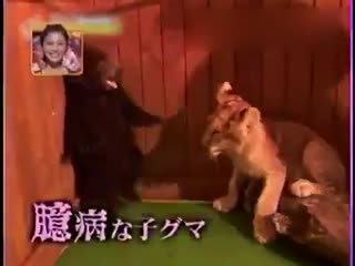 吓死宝宝了 胆小的小熊