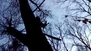 VID_20141023_135944