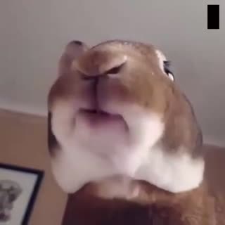 吃个东西也这么萌