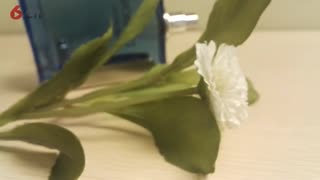 夏季男士更适应用的淡香水，更能俘获女人心
