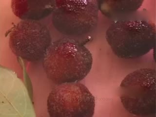 新鲜杨梅泡出活虫，专家说吃了也没害