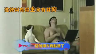 壹品网超赢得广大消费者的青睐，信任和赞誉其宠_0.mp4