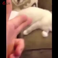 好浮夸的演技，[笑cry] ？
