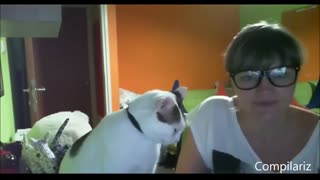 如女人般黏人的猫猫