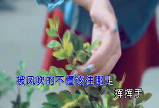 我怀里的天空_樊凡_国语_无[右]