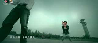 龙梅子