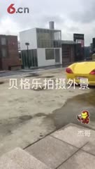 给你一个坚定理想的理由贝格乐童装