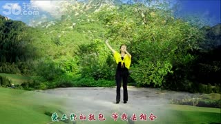 广场舞 草原醉 晶晶广场舞 歌词字幕正反面 分解 自编舞05_clip