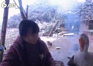 六间房美女主播东方不败哪视频交友