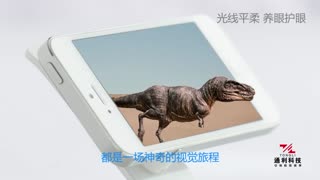 Iphone专属贴膜  通利裸眼3D飞膜